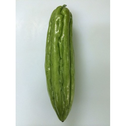 涼瓜(長身)